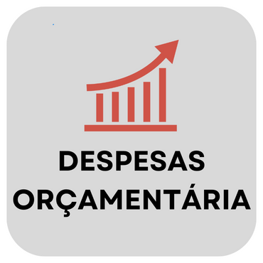 DESPESAS ORCAMENTARIA